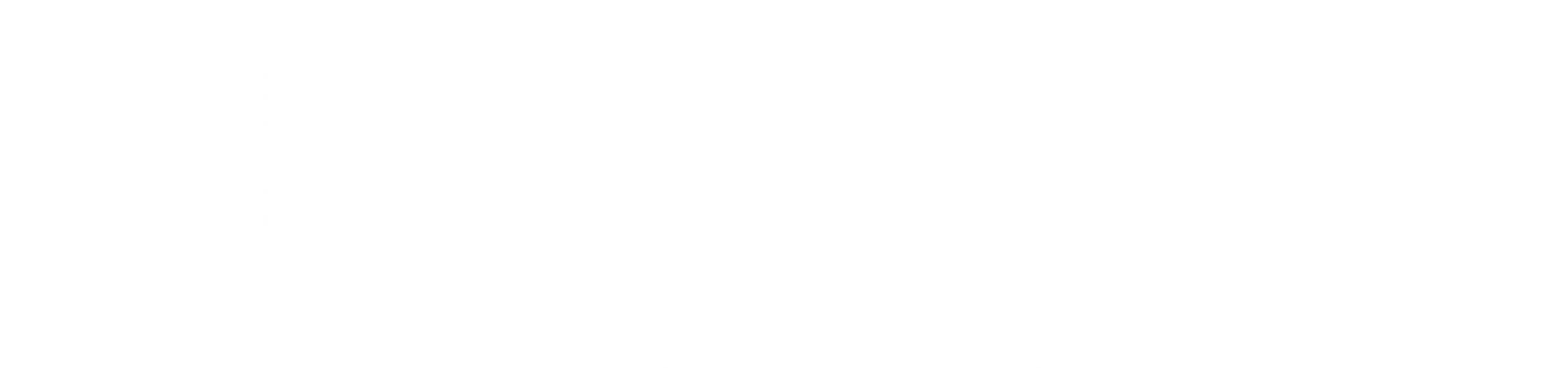 André Santos · Real Estate Agent